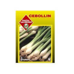 Semillas Sobre Cebollín