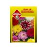 Semillas Sobre Dalia Decorativa