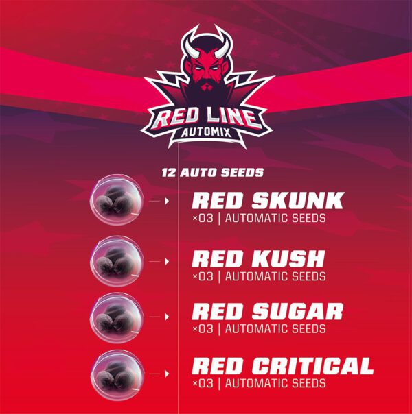 Red-Line-BSF-600x604