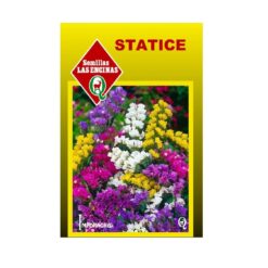 Semillas Sobre Statice