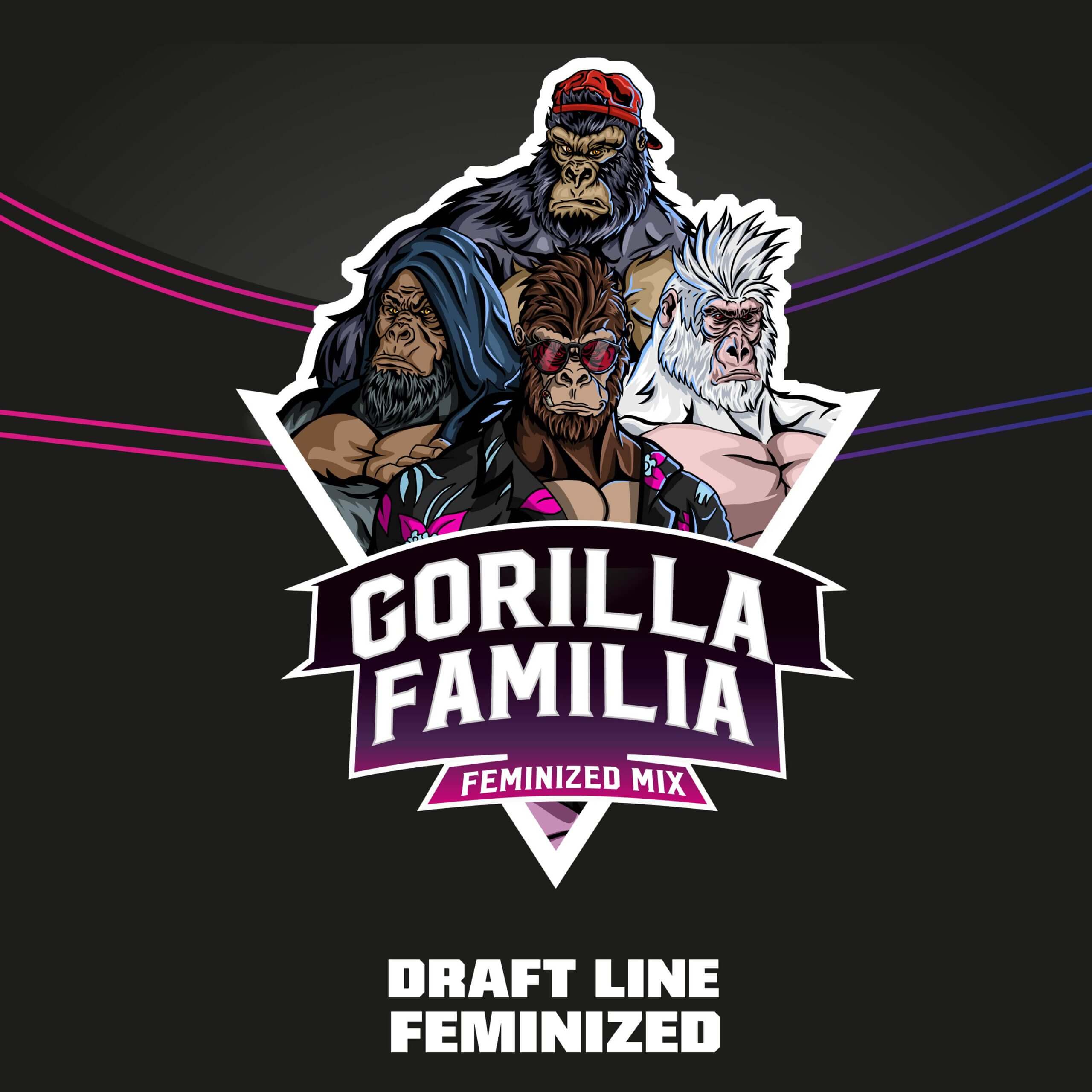 Gorilla Familia Fem