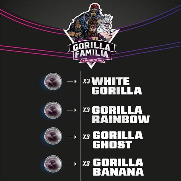 gorilla-family-mix