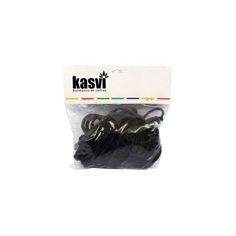 Poleas Kasvi