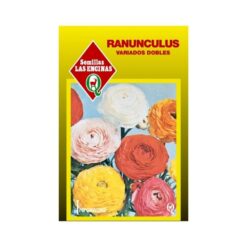 Semillas Sobre Ranunculus