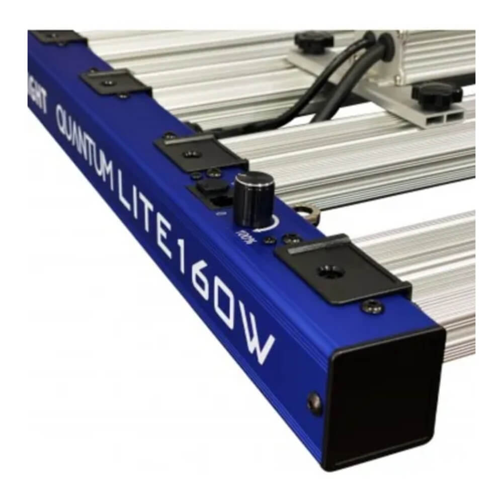 LED Quantum